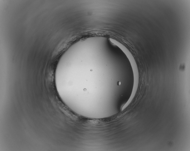 X0000111240713200907231528