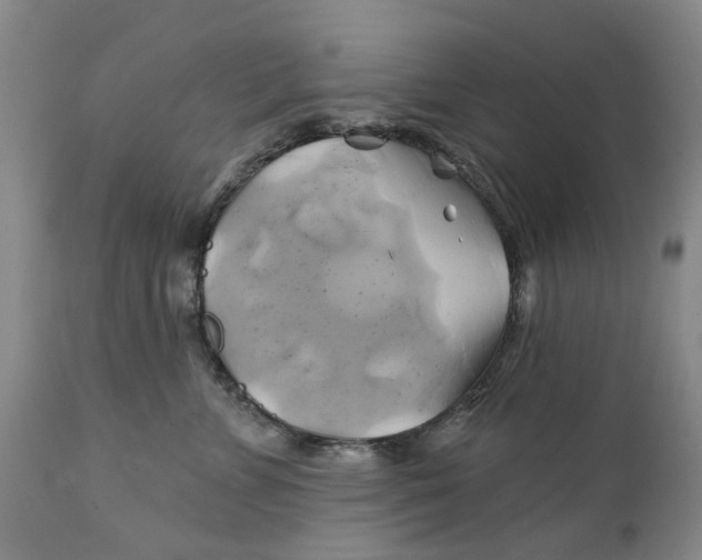 X0000111240715200907231528