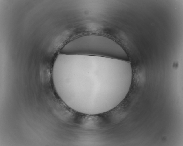 X0000111240716200907231528