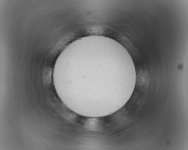 X0000111240717200907231528