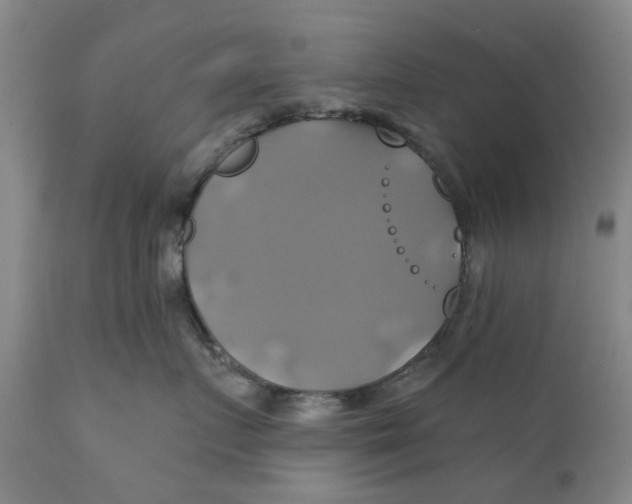 X0000111240719200907231528