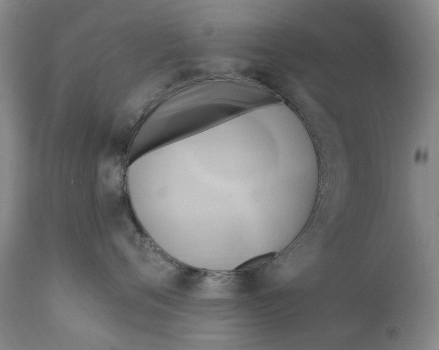 X0000111240720200907231528