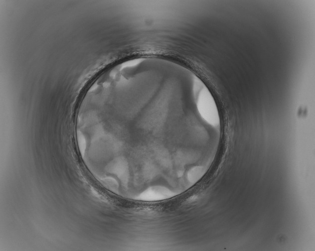 X0000111240721200907231527