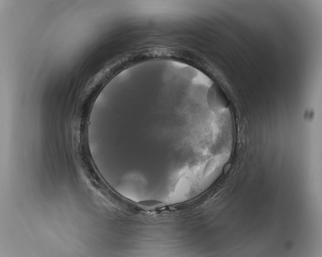 X0000111240722200907231527