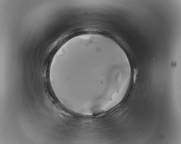 X0000111240723200907231527