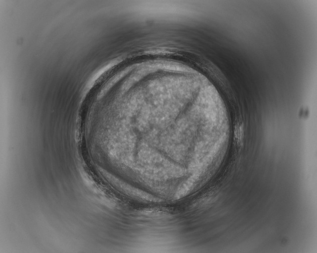 X0000111240724200907231527