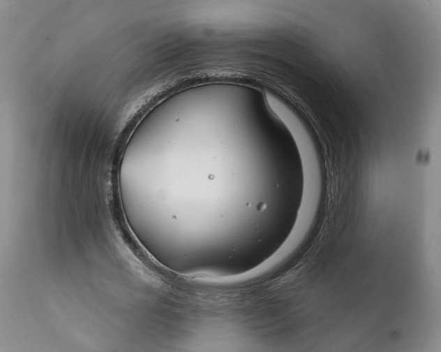 X0000111240725200907231528