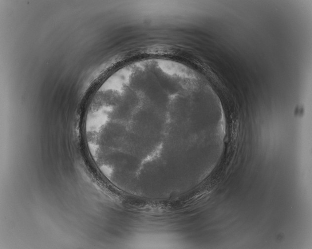 X0000111240727200907231528