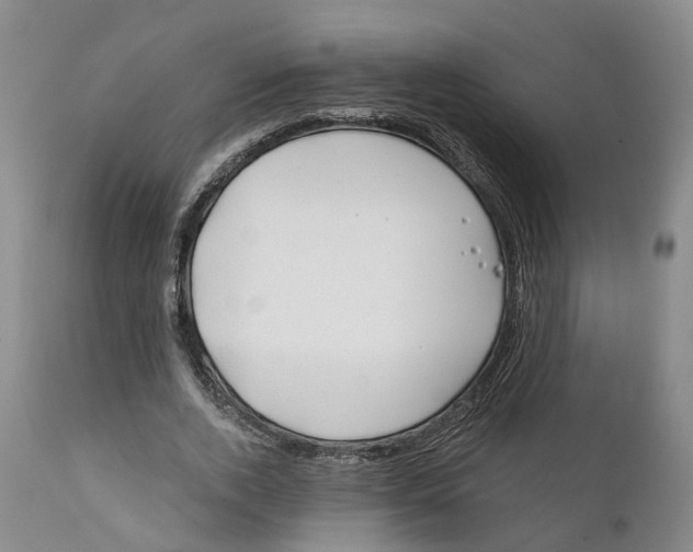 X0000111240728200907231528