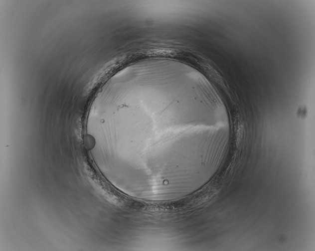 X0000111240729200907231528