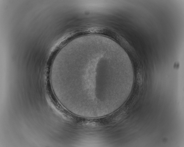 X0000111240730200907231528