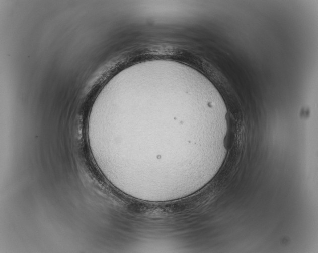 X0000111240731200907231528