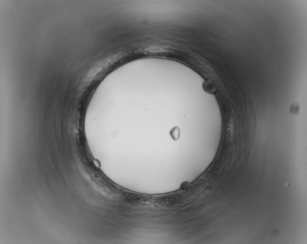 X0000111240732200907231528