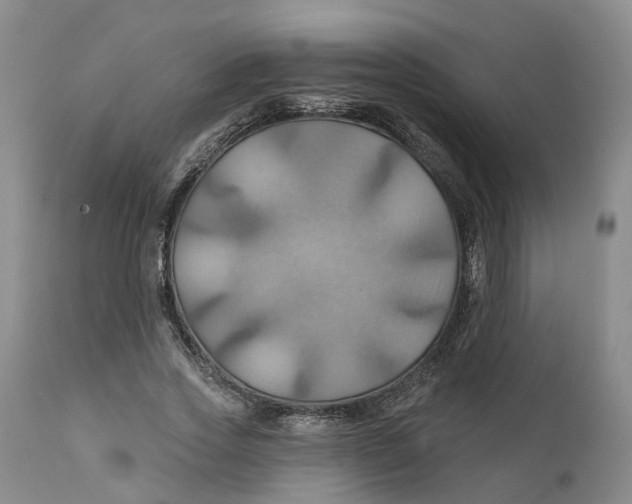 X0000111240733200907231528