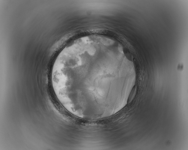 X0000111240734200907231528