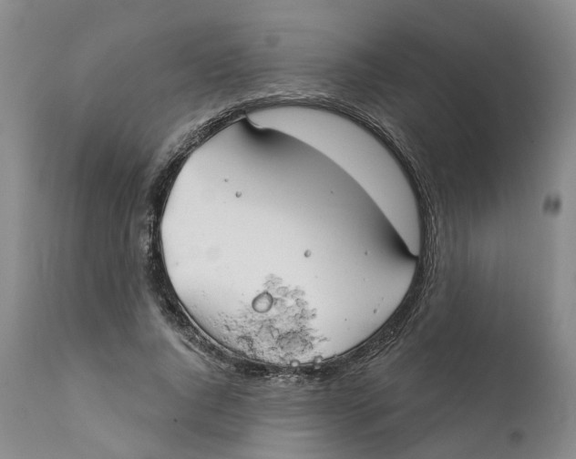 X0000111240736200907231528