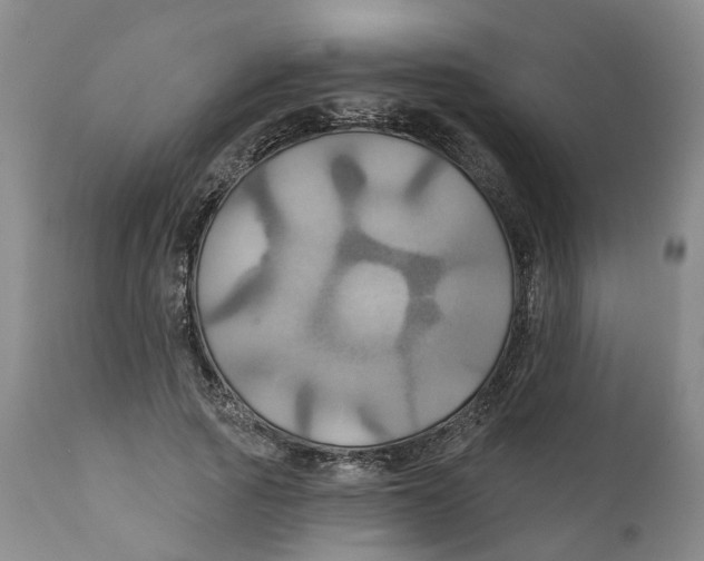 X0000111240737200907231528