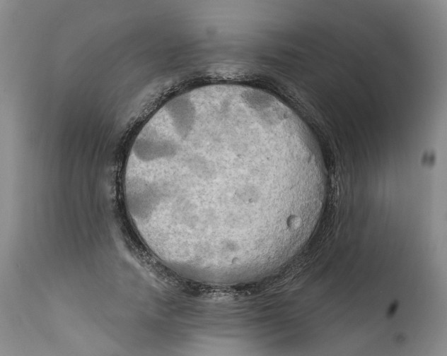 X0000111240738200907231528