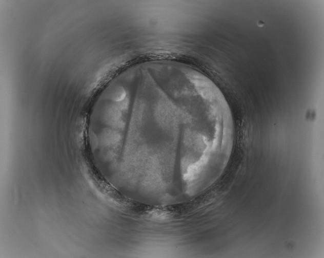 X0000111240742200907231528