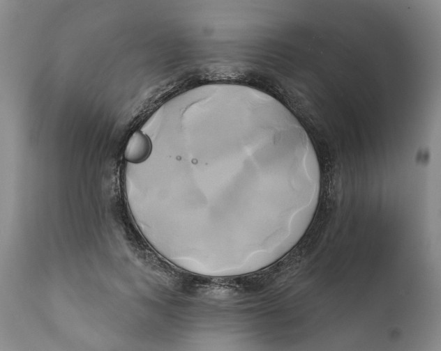 X0000111240743200907231528