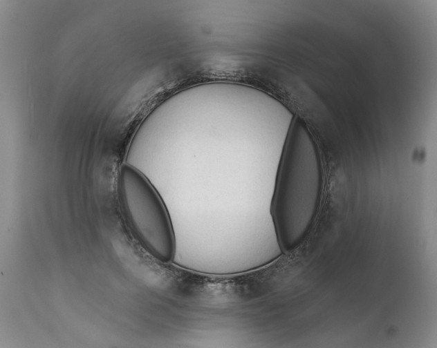 X0000111240744200907231528