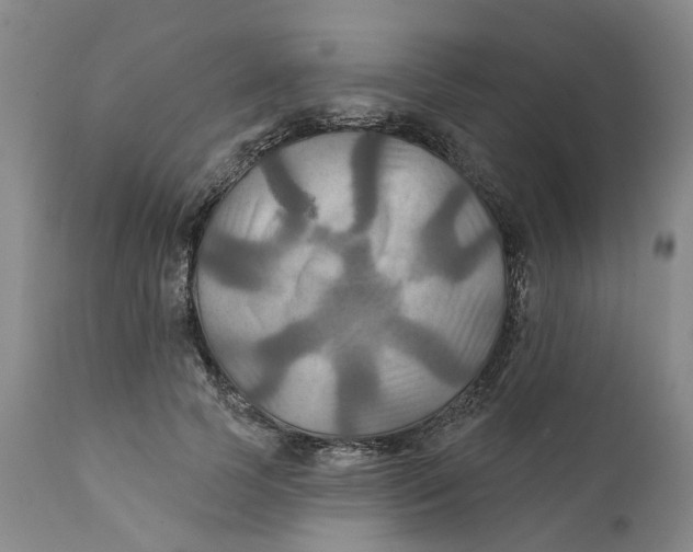 X0000111240745200907231528