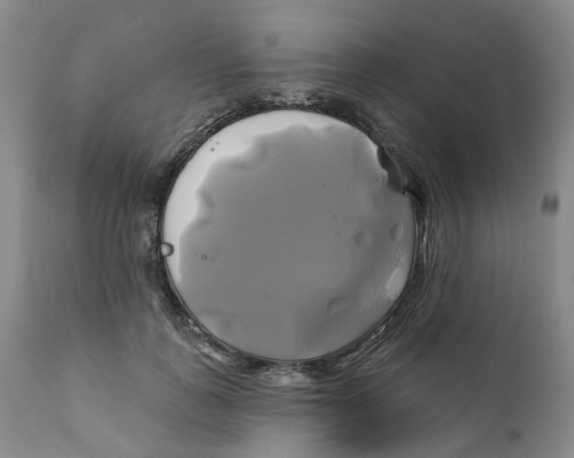 X0000111240747200907231528