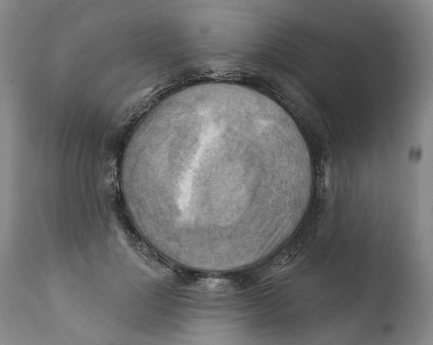 X0000111240748200907231528