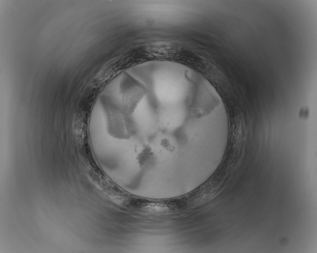 X0000111240749200907231528