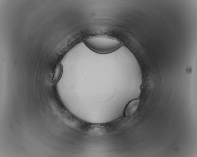 X0000111240750200907231528