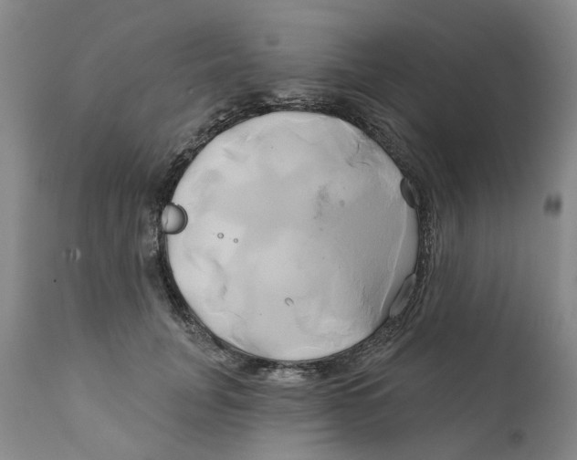 X0000111240751200907231528