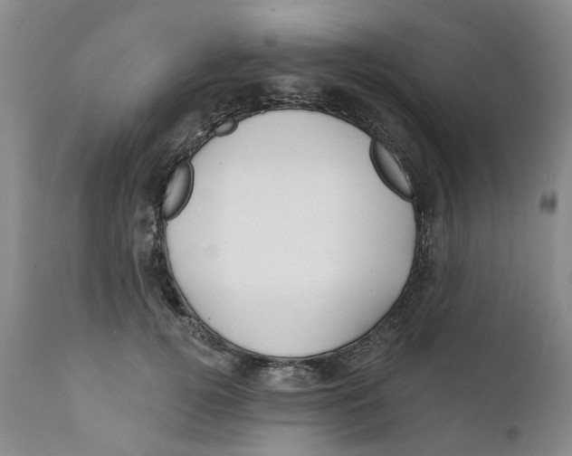 X0000111240752200907231528