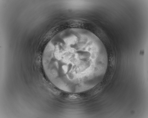 X0000111240753200907231528