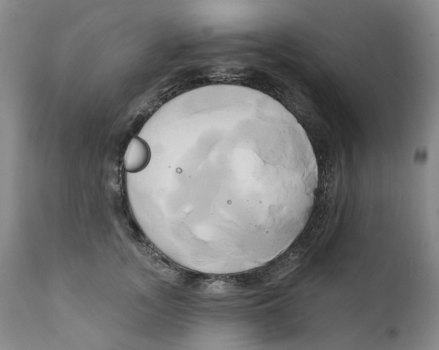 X0000111240755200907231528