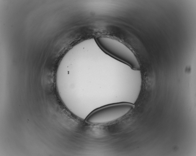 X0000111240756200907231528