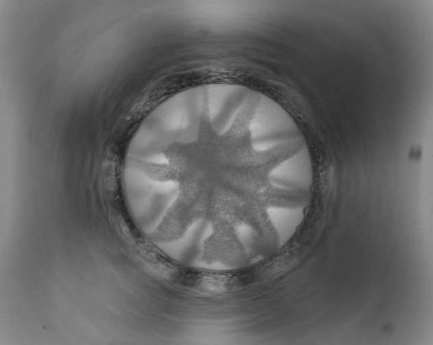 X0000111240757200907231528