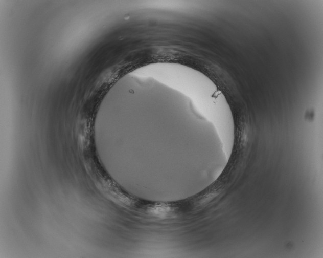 X0000111240759200907231528