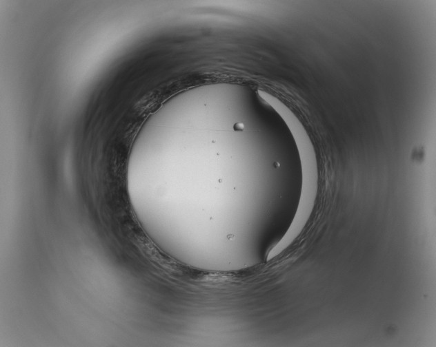 X0000111240762200907231528