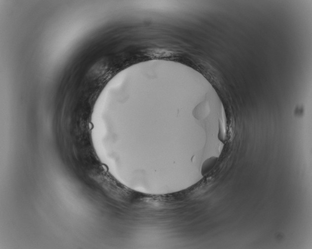 X0000111240763200907231528