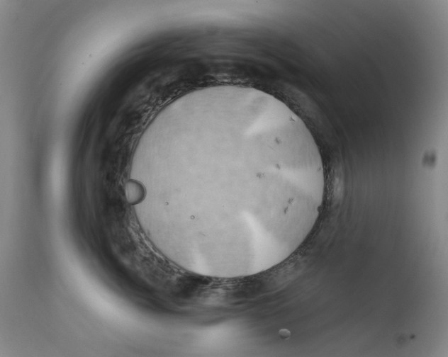 X0000111240764200907231528