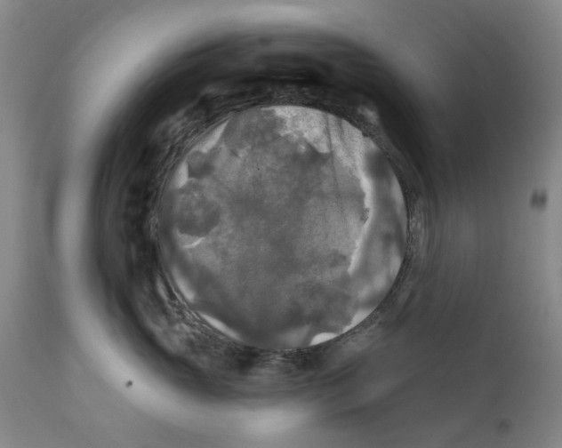 X0000111240765200907231528