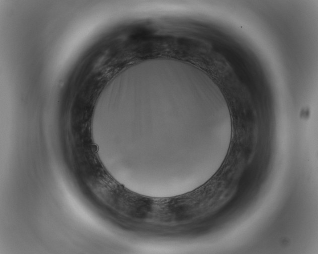 X0000111240766200907231528