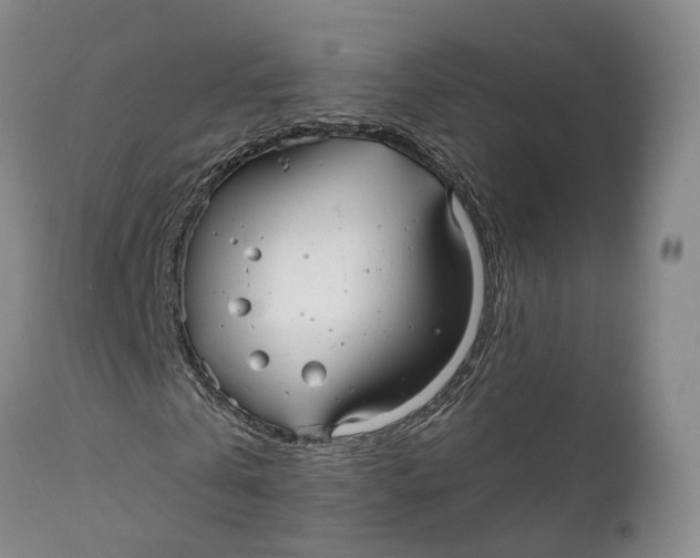 X0000111240769200907231527