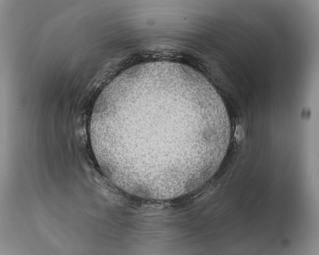 X0000111240771200907231527