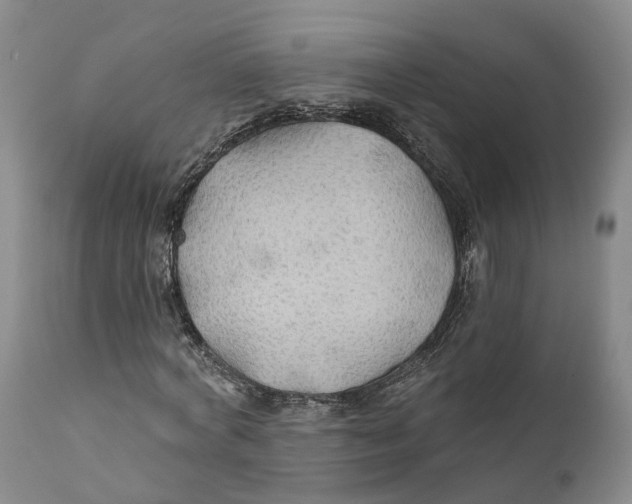 X0000111240772200907231527