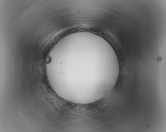 X0000111240773200907231527