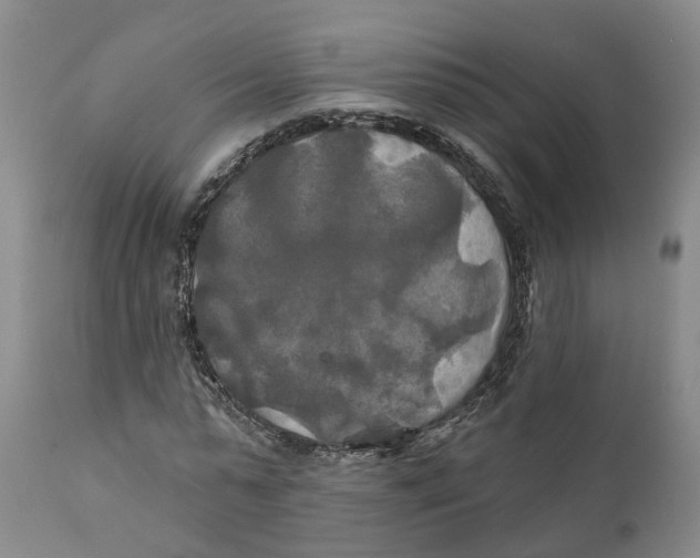 X0000111240775200907231527