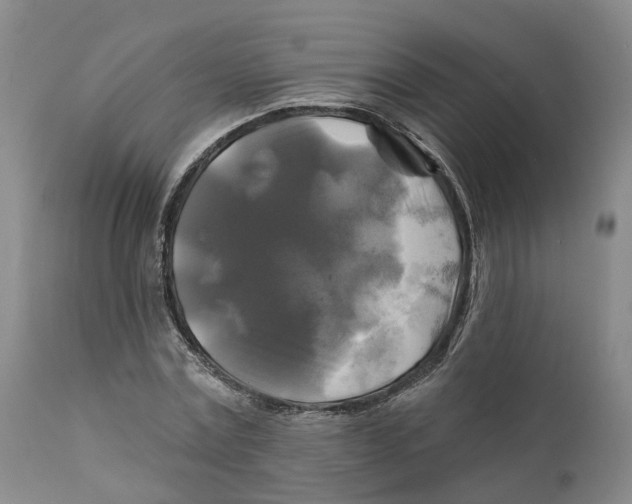 X0000111240779200907231527