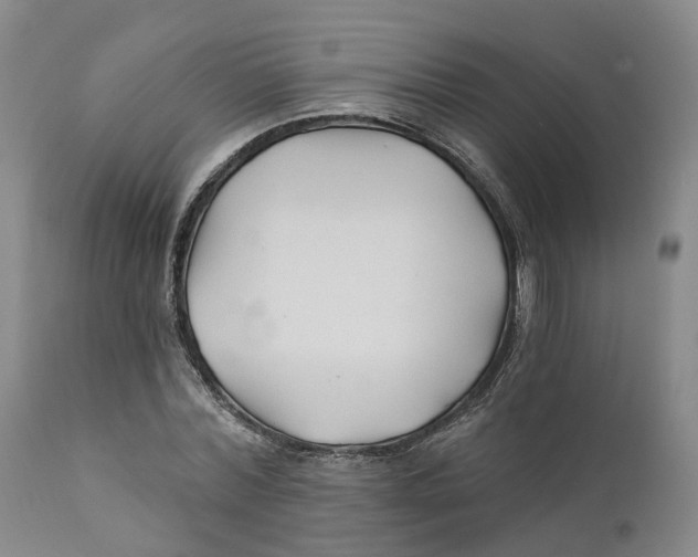 X0000111240780200907231527