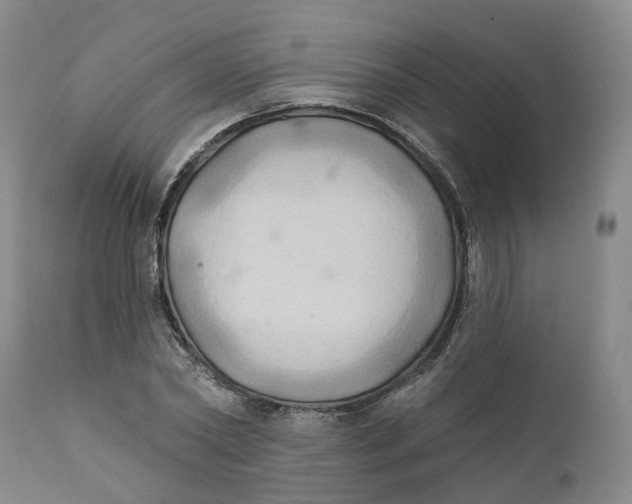 X0000111240782200907231527